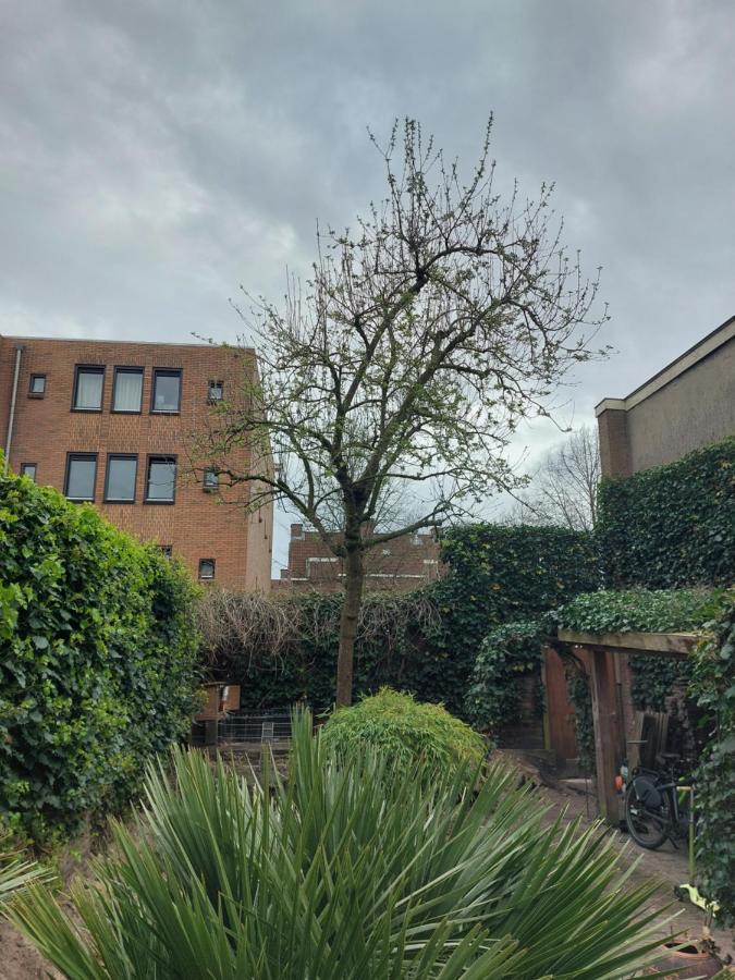 Saya Boutique Bed & Breakfast Amersfoort